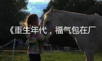 《重生年代，福气