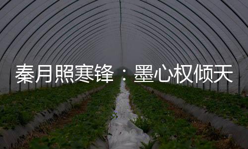 秦月照寒锋：墨心权倾天下