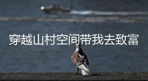 穿越山村空间带我去致富