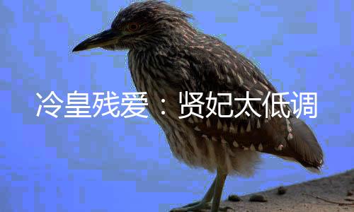 《腰软知青在年代和忠犬糙汉贴贴》全文在线阅读