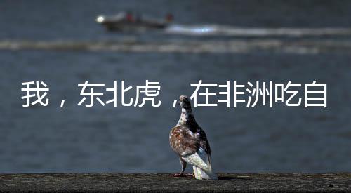 《黄泉快递：亲，记得五星好评哟》全文在线阅读