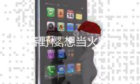 我,春野樱,想当