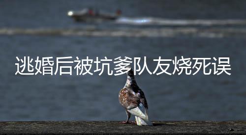 《绑定神豪系统后我成了豪门真千金》全文在线阅读