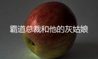 霸道总裁和他的灰