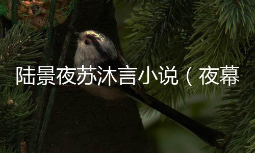 《治愈S级雄兽，小雌性是帝国珍宝》全文在线阅读