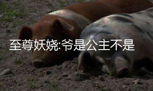 至尊妖娆:爷是公主不是郎
