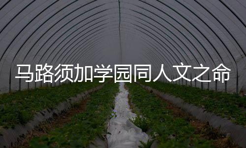 马路须加学园同人文之命运之战